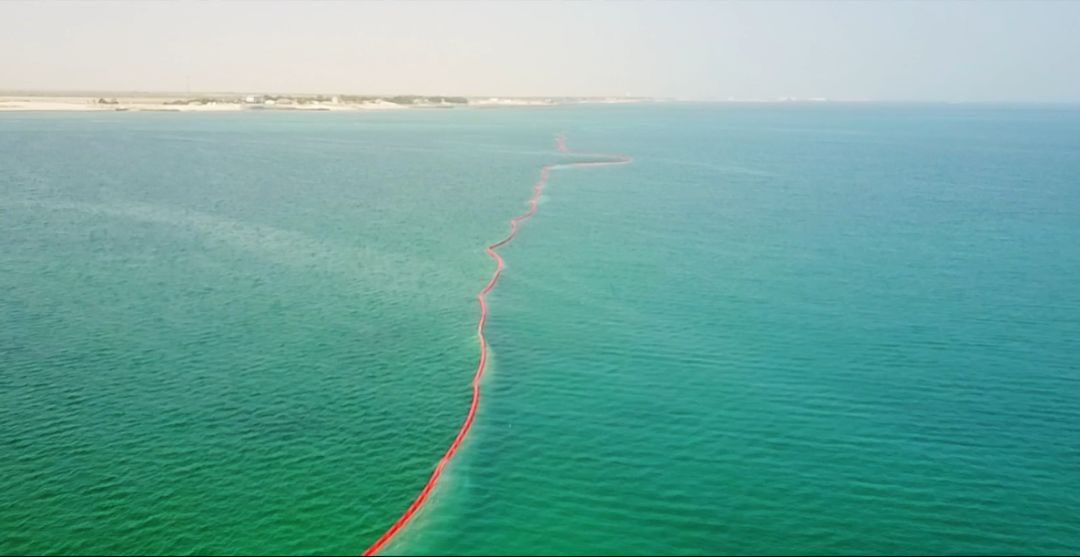 尊时凯龙·Z6(中国区)人生就是拼搏!