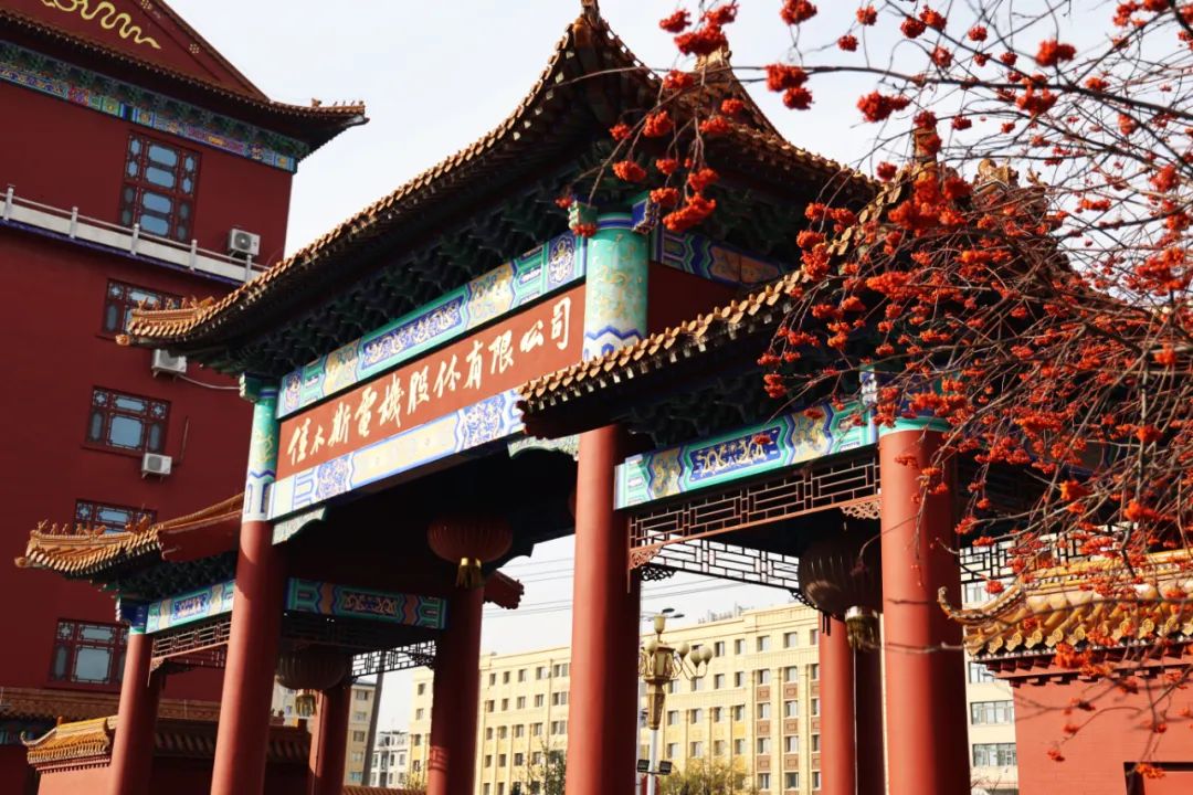 尊时凯龙·Z6(中国区)人生就是拼搏!