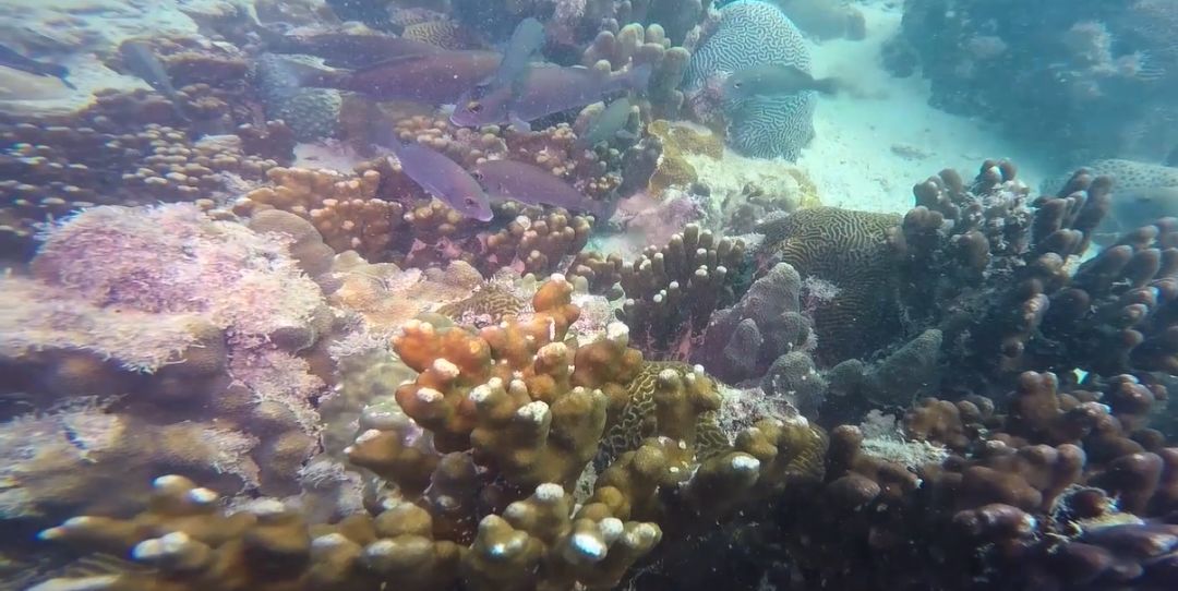 尊时凯龙·Z6(中国区)人生就是拼搏!