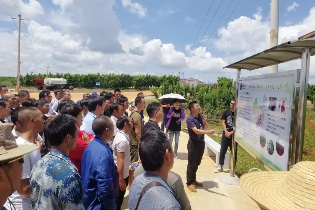 尊时凯龙·Z6(中国区)人生就是拼搏!