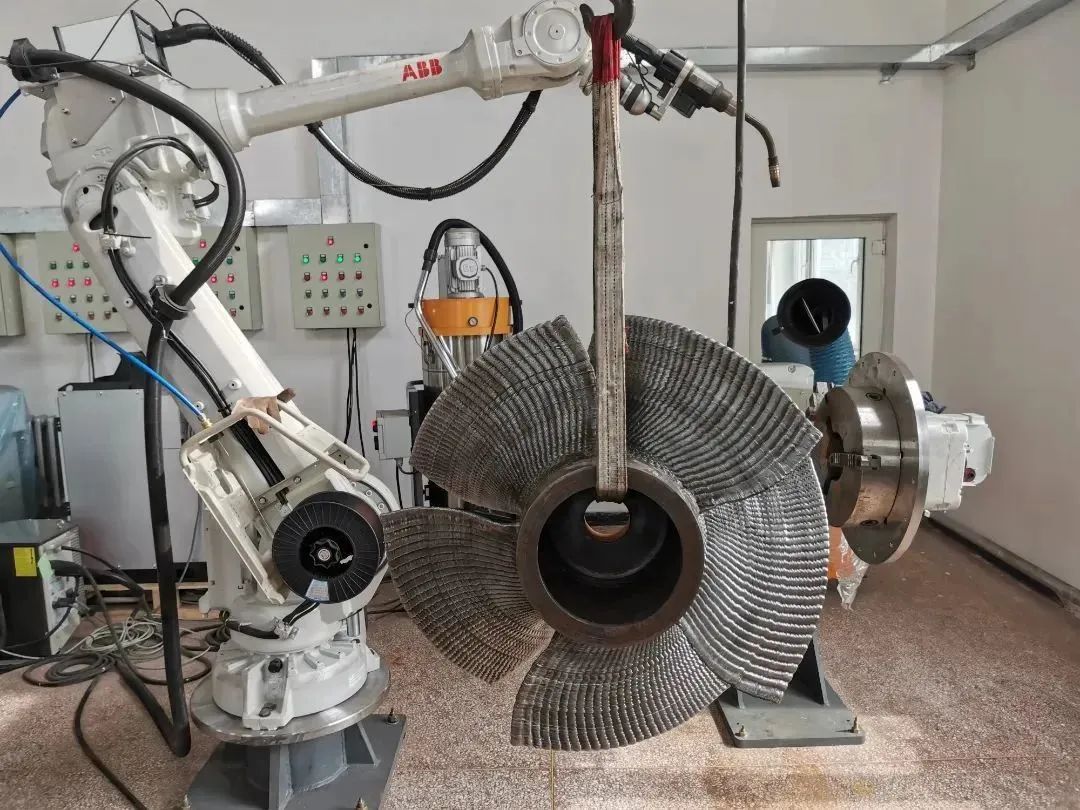 尊时凯龙·Z6(中国区)人生就是拼搏!