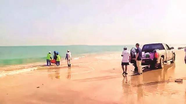 尊时凯龙·Z6(中国区)人生就是拼搏!